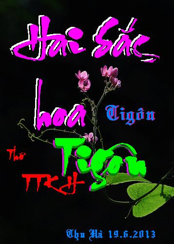 haisachoatigon-thuha_500