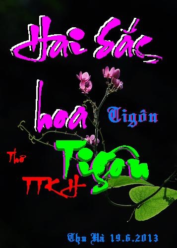 haisachoatigon-thuha_500