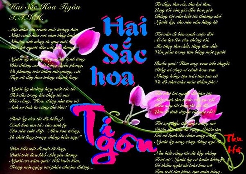 haisachoatigon1-thuha_500